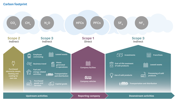 What is Carbon footprint graphic